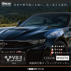 V2_V8  CARRY THE RUMBLE 白 WHITE 実車画像